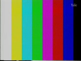 media 81466 thumbnail image