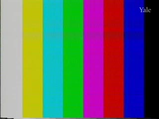 media 81565 thumbnail image