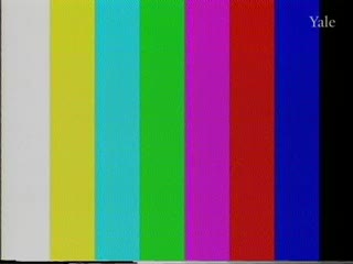 media 81585 thumbnail image