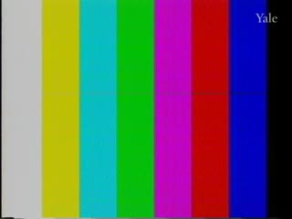 media 81594 thumbnail image