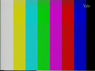 media 81675 thumbnail image
