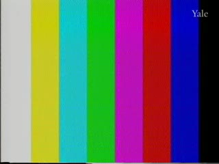 media 81689 thumbnail image