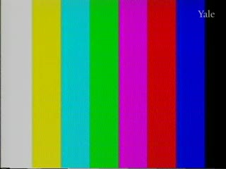 media 81696 thumbnail image