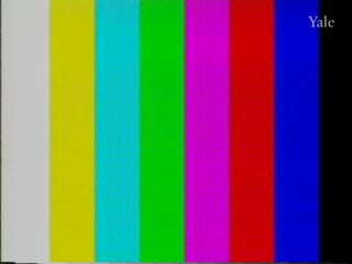 media 81700 thumbnail image