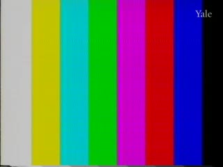 media 81796 thumbnail image