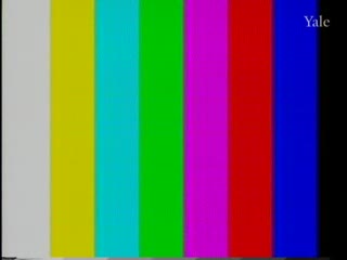 media 81811 thumbnail image