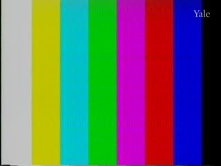 media 81816 thumbnail image