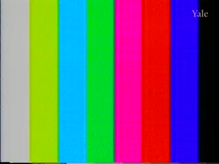 media thumbnail