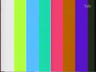 media 81857 thumbnail image