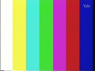 media thumbnail