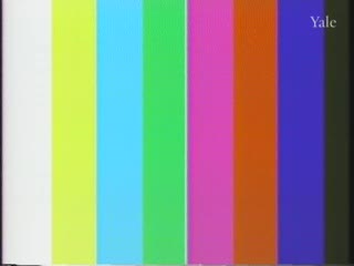 media 81864 thumbnail image
