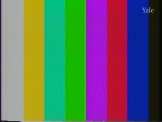 media thumbnail