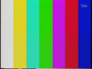 media 81908 thumbnail image