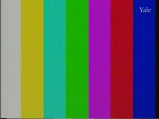 media thumbnail