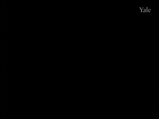media 81920 thumbnail image