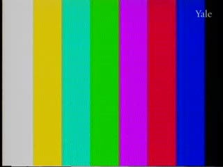 media 81923 thumbnail image