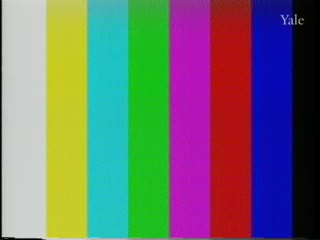 media 81981 thumbnail image