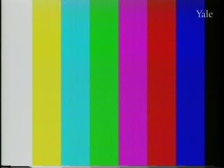 media 81982 thumbnail image