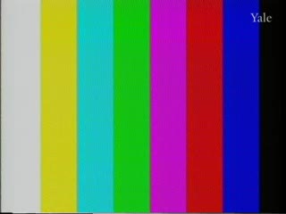 media 81985 thumbnail image