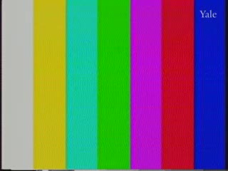 media 82038 thumbnail image