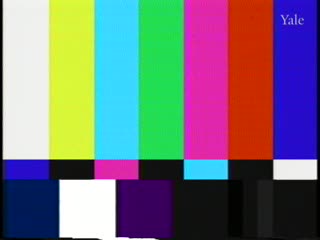 media thumbnail