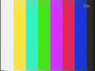 media thumbnail
