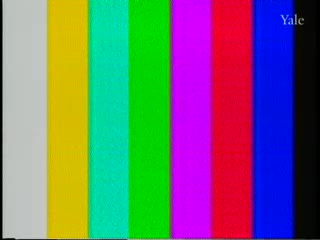 media 82250 thumbnail image