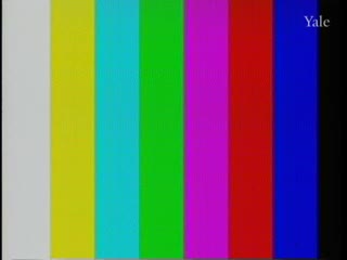 media thumbnail