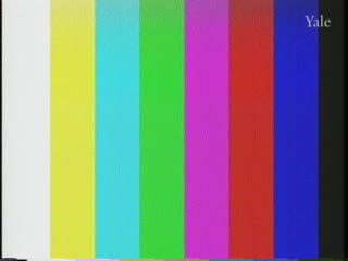 media 82336 thumbnail image
