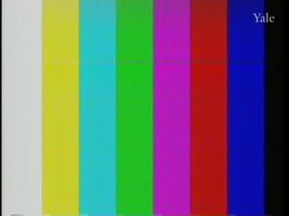 media 82338 thumbnail image