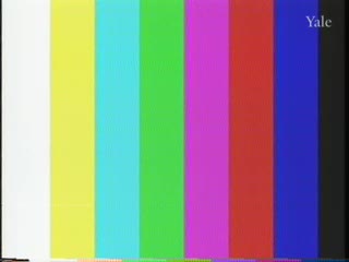 media thumbnail