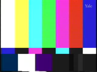 media 82788 thumbnail image