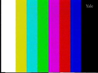 media 82802 thumbnail image