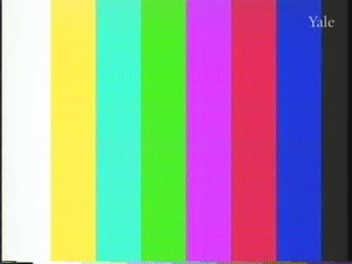 media thumbnail