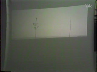 media 83220 thumbnail image