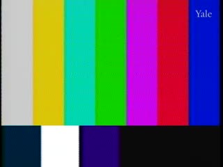 media thumbnail