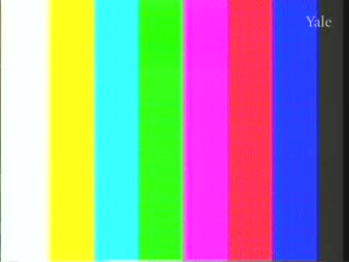 media thumbnail