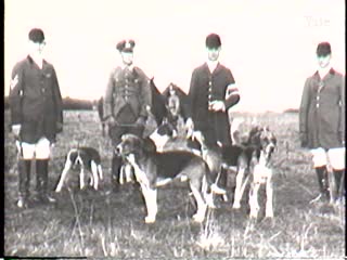media thumbnail