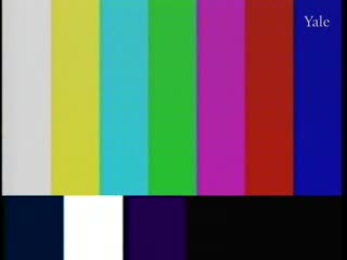 media thumbnail