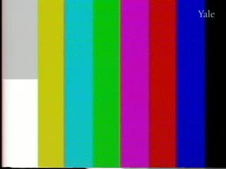 media thumbnail
