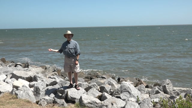 media 84367 thumbnail image