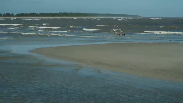 media 84499 thumbnail image