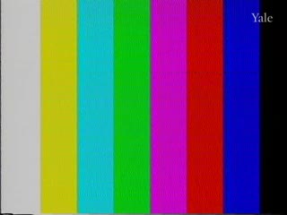 media 90361 thumbnail image