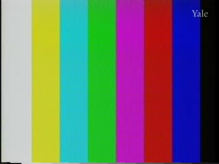 media thumbnail