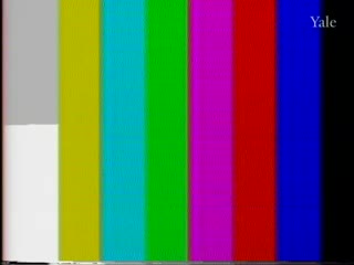 media thumbnail