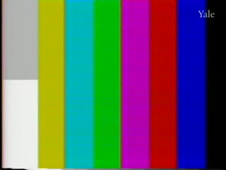 media thumbnail