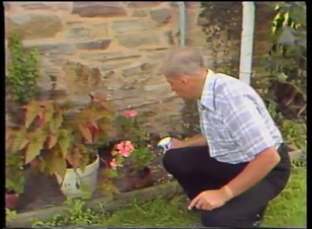 media 93946 thumbnail image