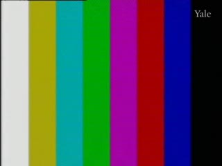 media thumbnail