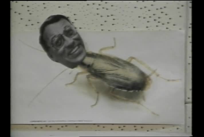 media 94411 thumbnail image