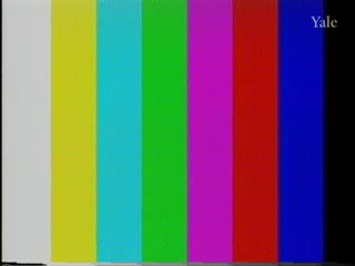 media thumbnail